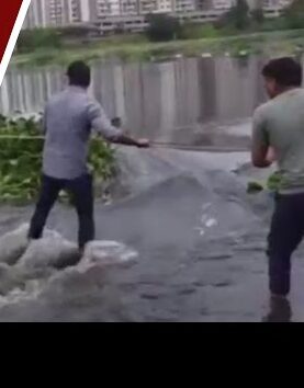 खराडी पोलीस ठाण्याच्या धाडसी अधिकाऱ्यांनी दाखवलेले शौर्य : मानवी साखळीने वाचवला एक जीव.