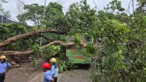 पिंपरी-चिंचवडमध्ये भरधाव पीएमपीएमएल बसवर झाड कोसळले; ७ प्रवासी जखमी, वाहतूक ठप्प.