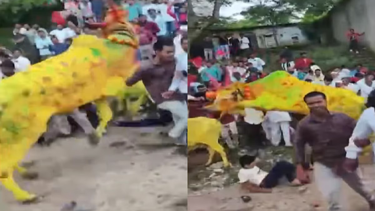 बैलपोळा