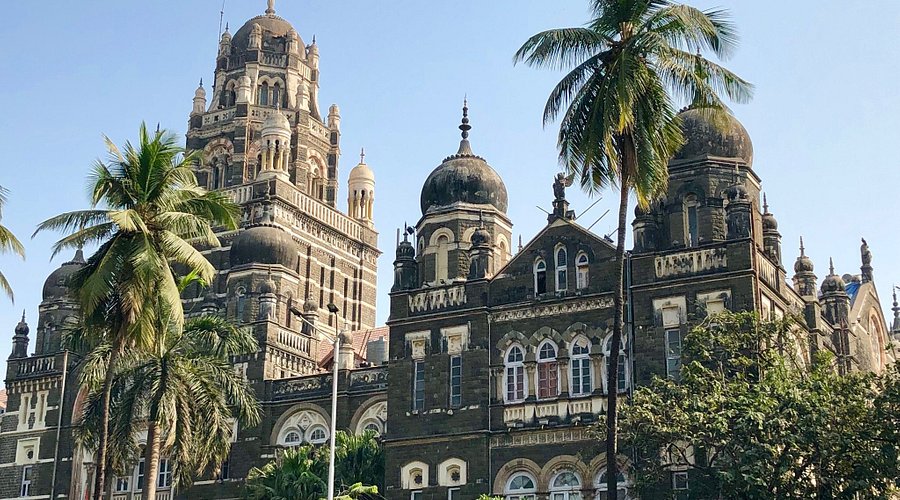 मुंबई विद्यापीठ