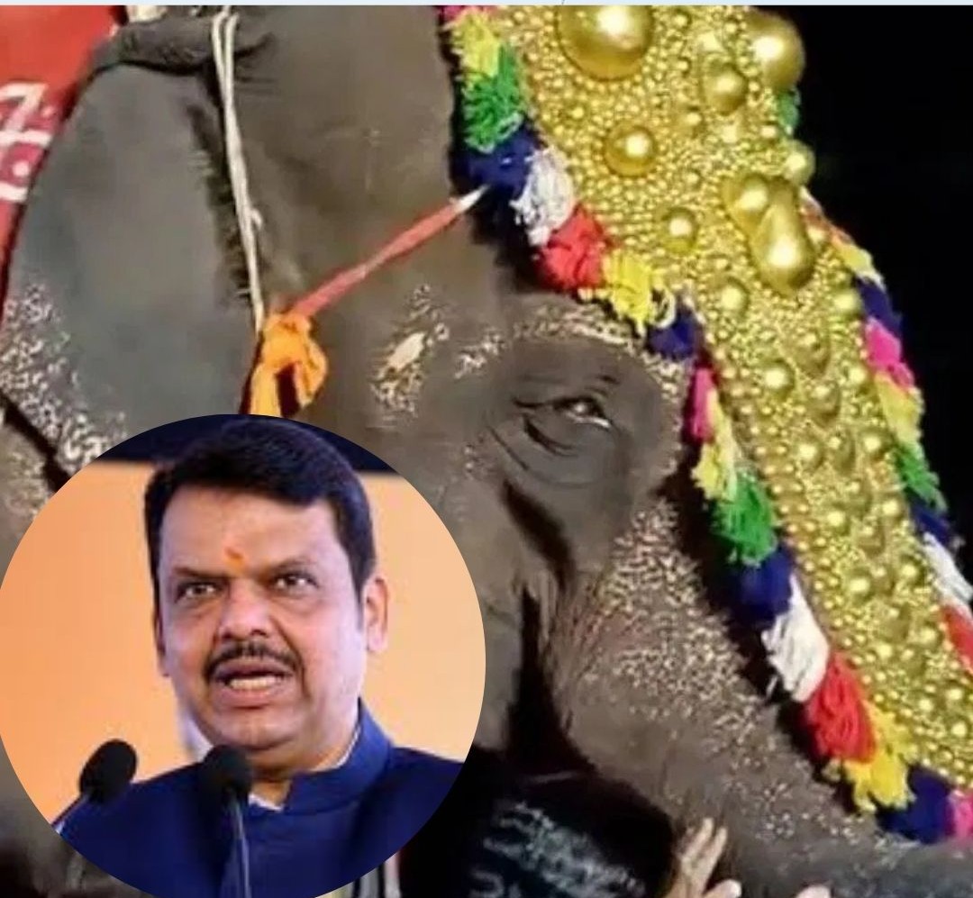 महादेवी हत्ती