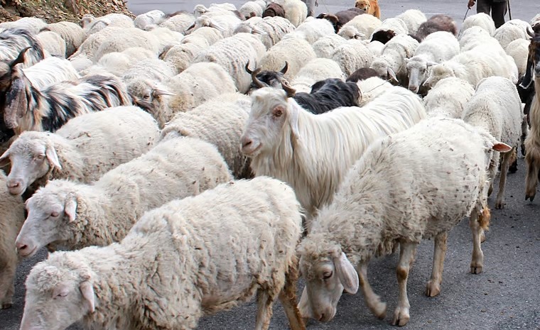 महाळुंगे एमआयडीसी