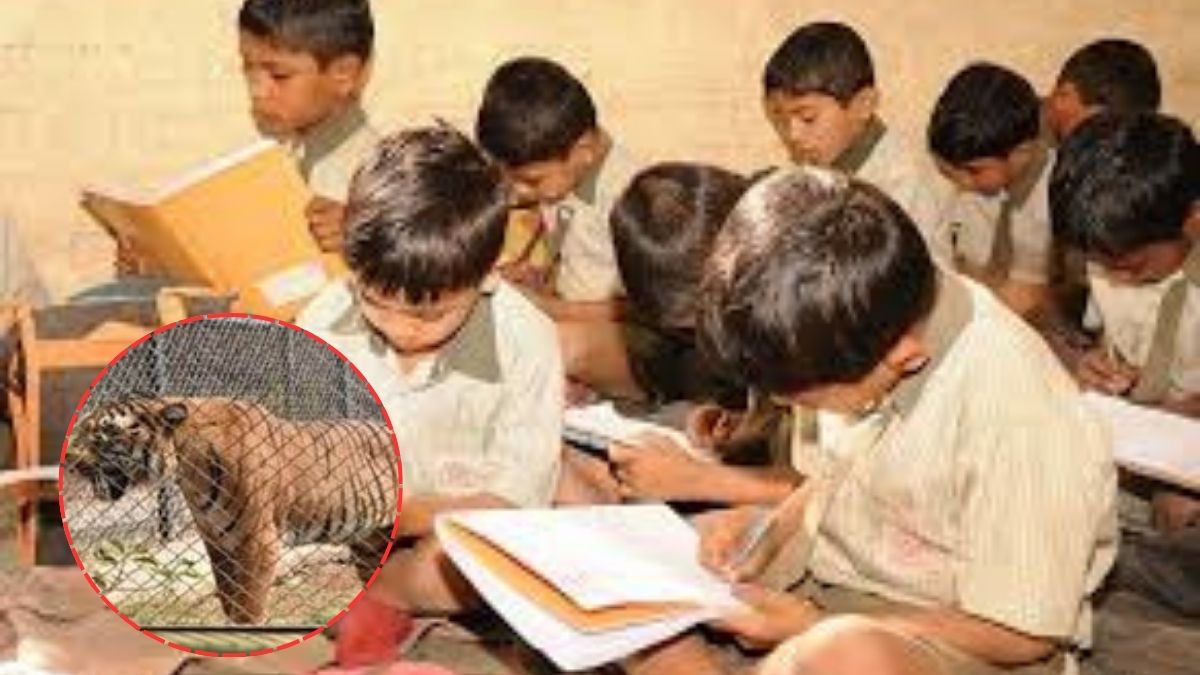 बिबट्याप्रवण पुणे शाळा वेळा बदल