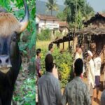 राधानगरी