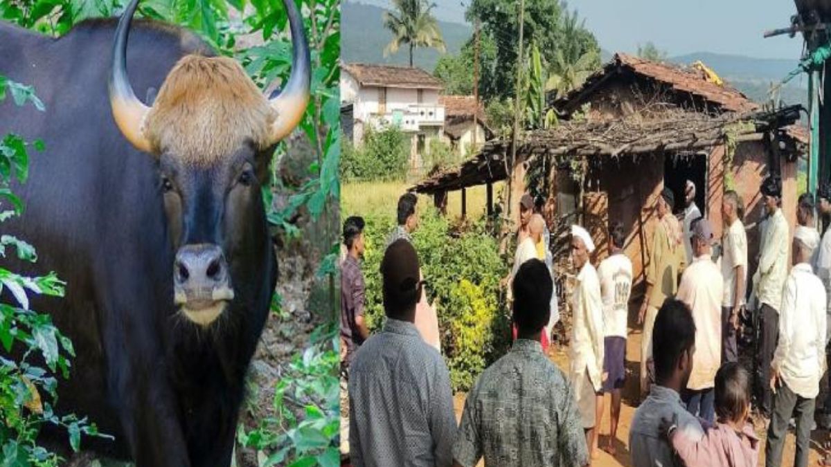 राधानगरी