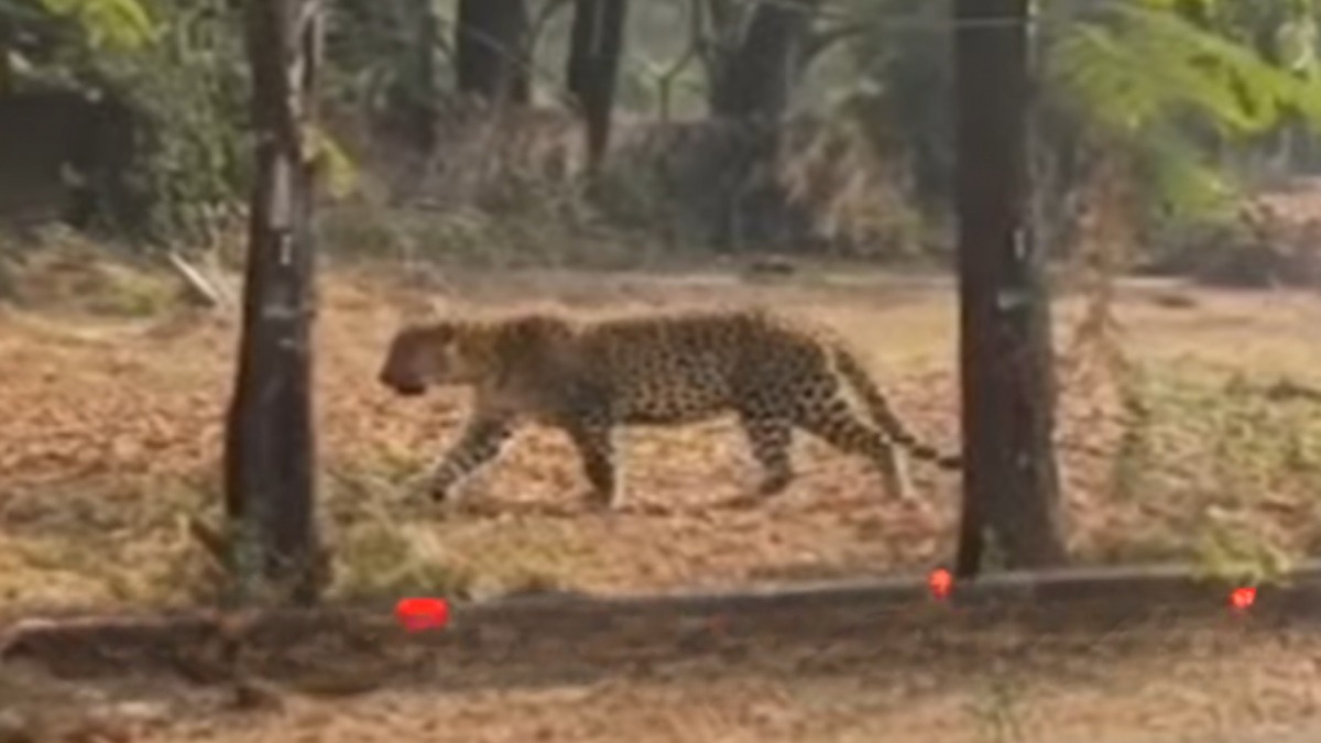 ठाणे: पोखरण रोड