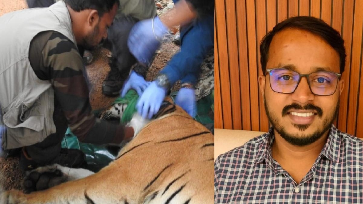 वाघिणींच्या गळ्यात 'कॉलर'